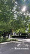 sandrineburgess Altpins Profile Picture