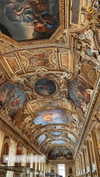 sandrineburgess Altpins Profile Picture