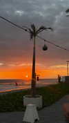 sandrineburgess Altpins Profile Picture