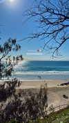 sandrineburgess Altpins Profile Picture