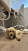 sandrineburgess Altpins Profile Picture