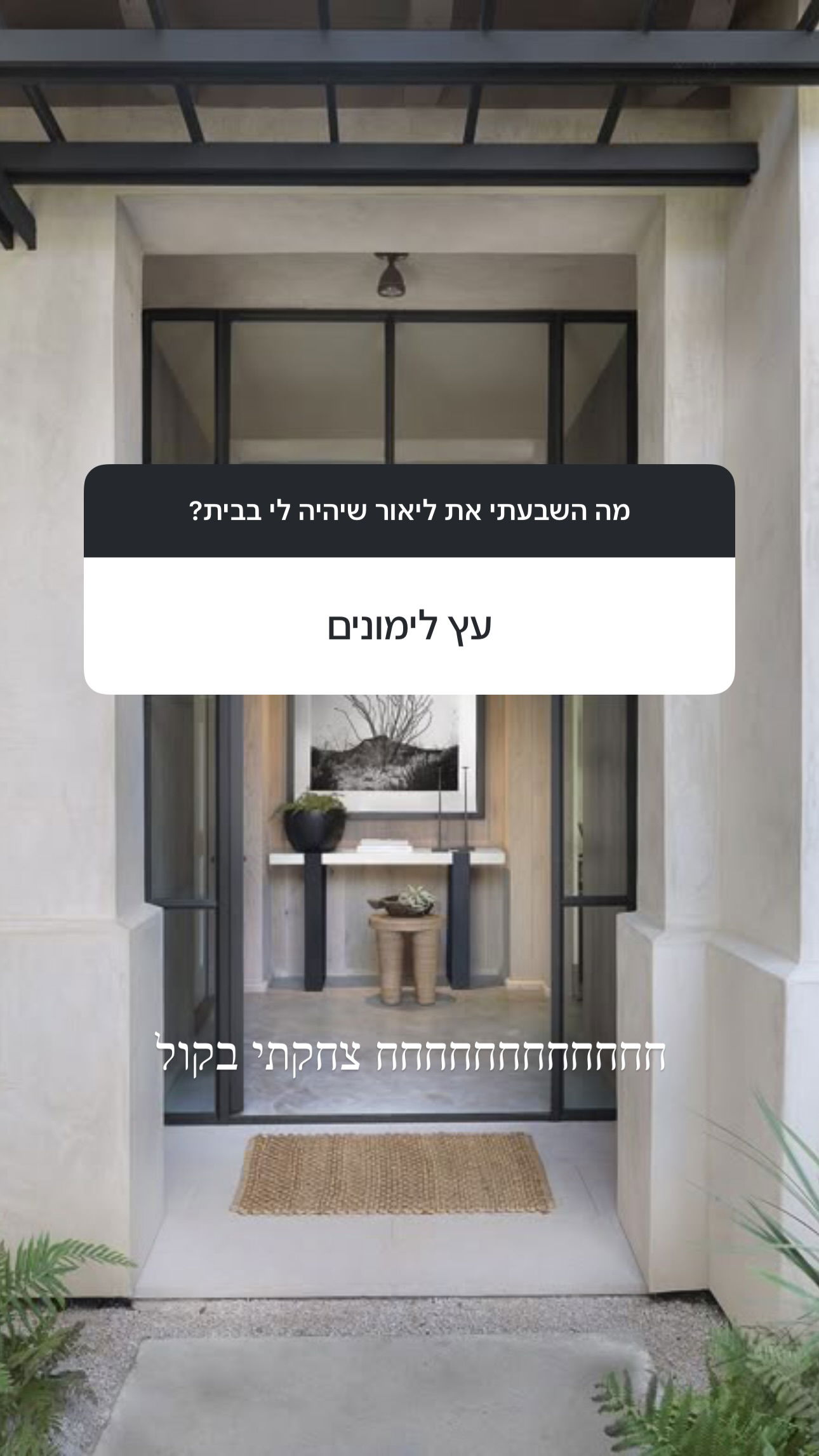 sapir_avisror instagram image archive image