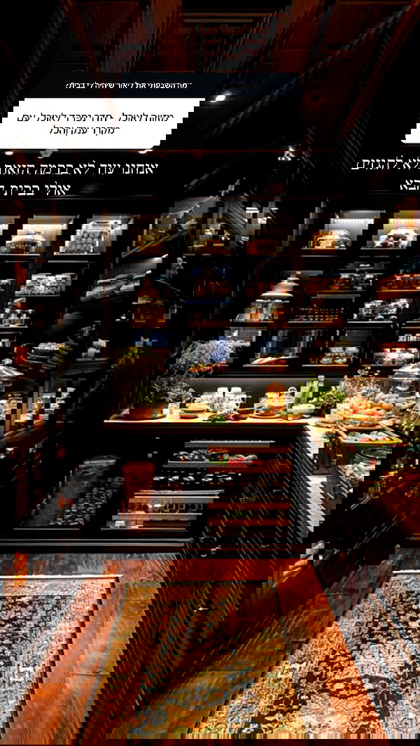 sapir_avisror image ~ Altpins