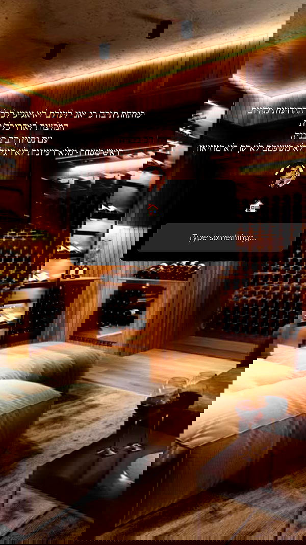 sapir_avisror image ~ Altpins