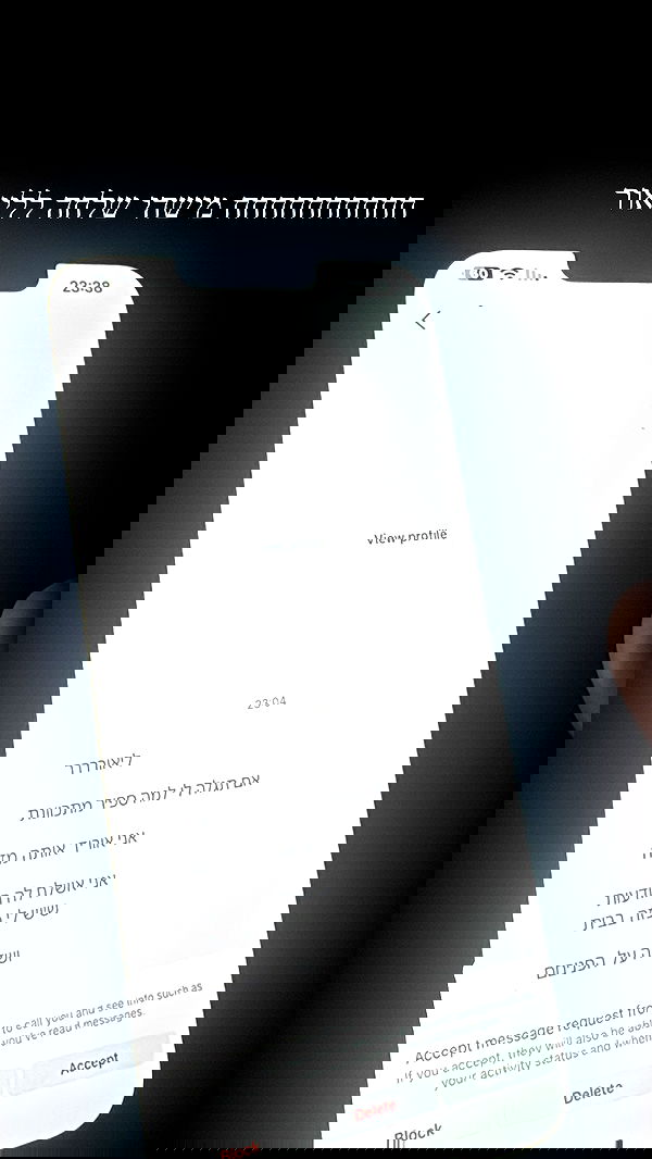 sapir_avisror image ~ Altpins