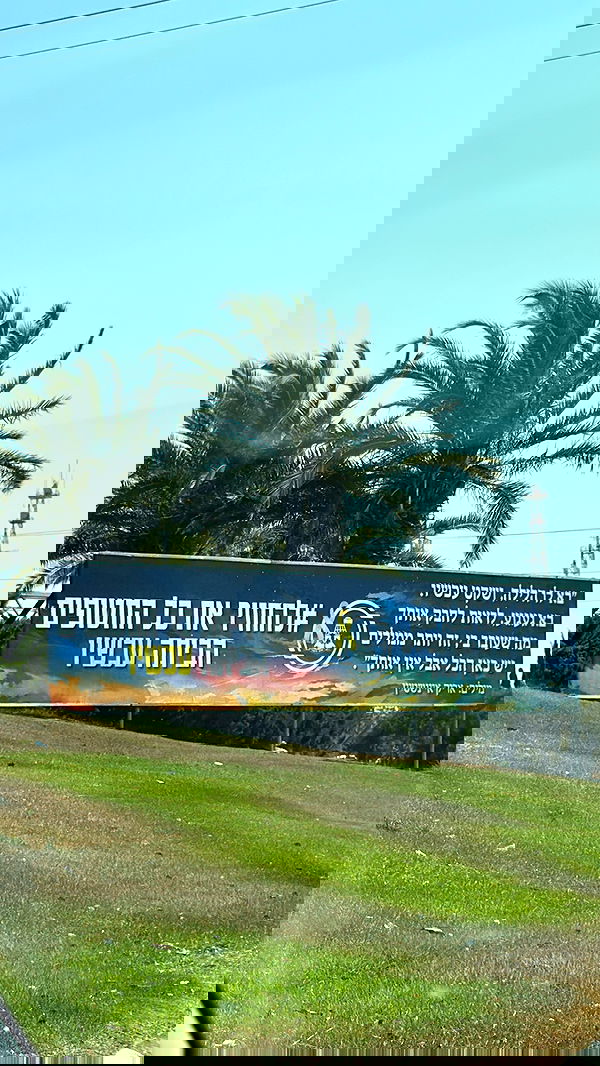 sapir_avisror image ~ Altpins