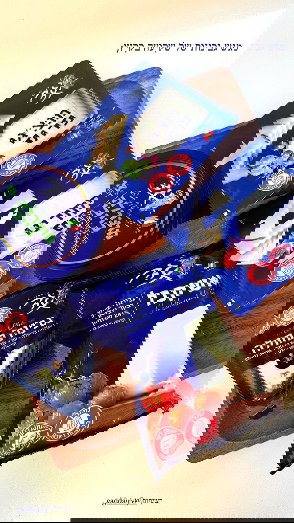 sapir_avisror image ~ Altpins