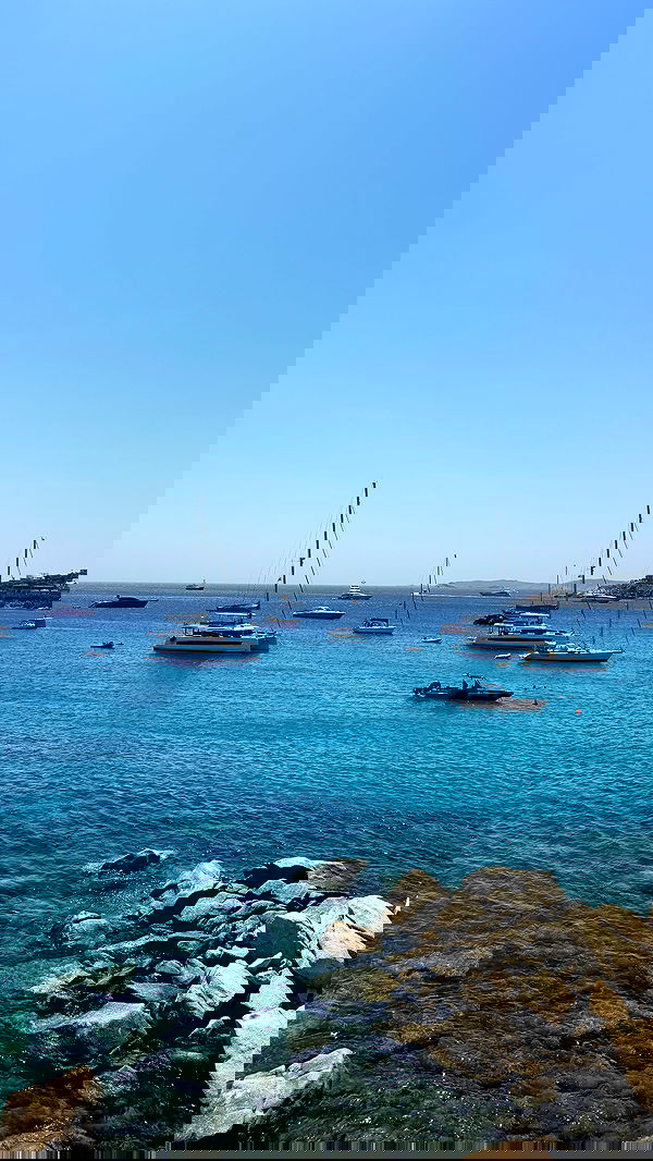 sapir_avisror image ~ Altpins