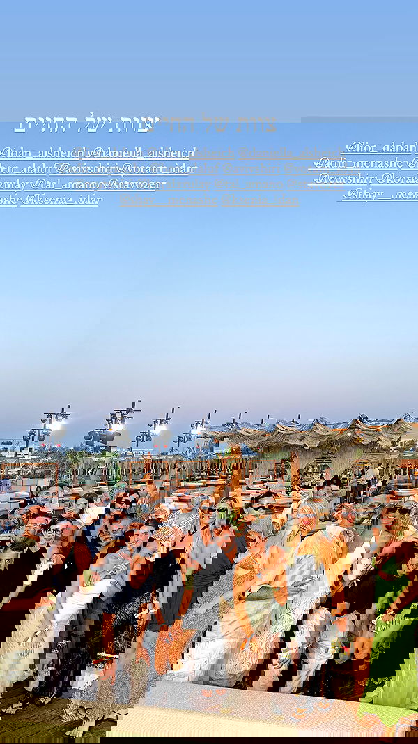 sapir_avisror image ~ Altpins