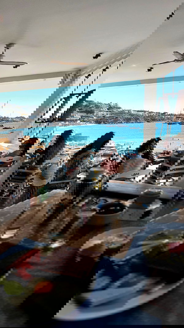 sapir_avisror image ~ Altpins