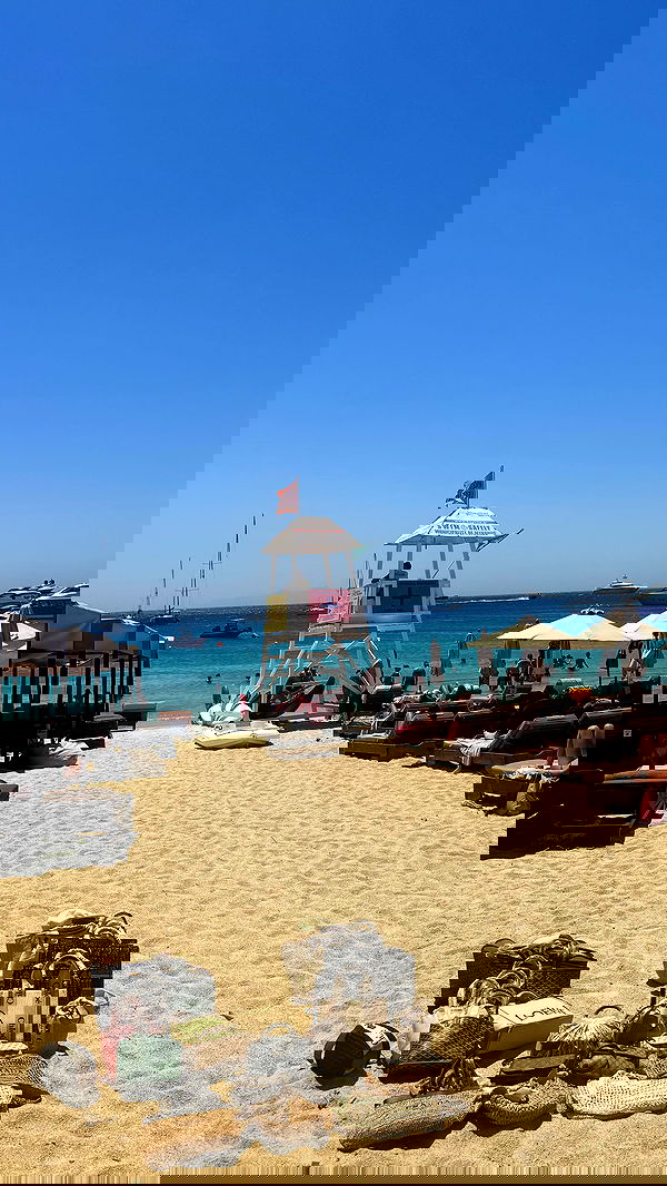 sapir_avisror image ~ Altpins