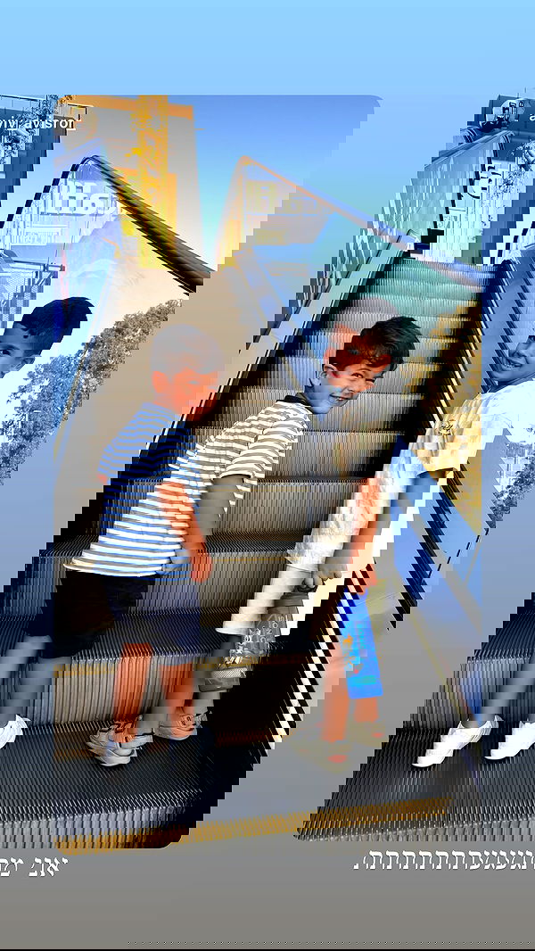 sapir_avisror image ~ Altpins