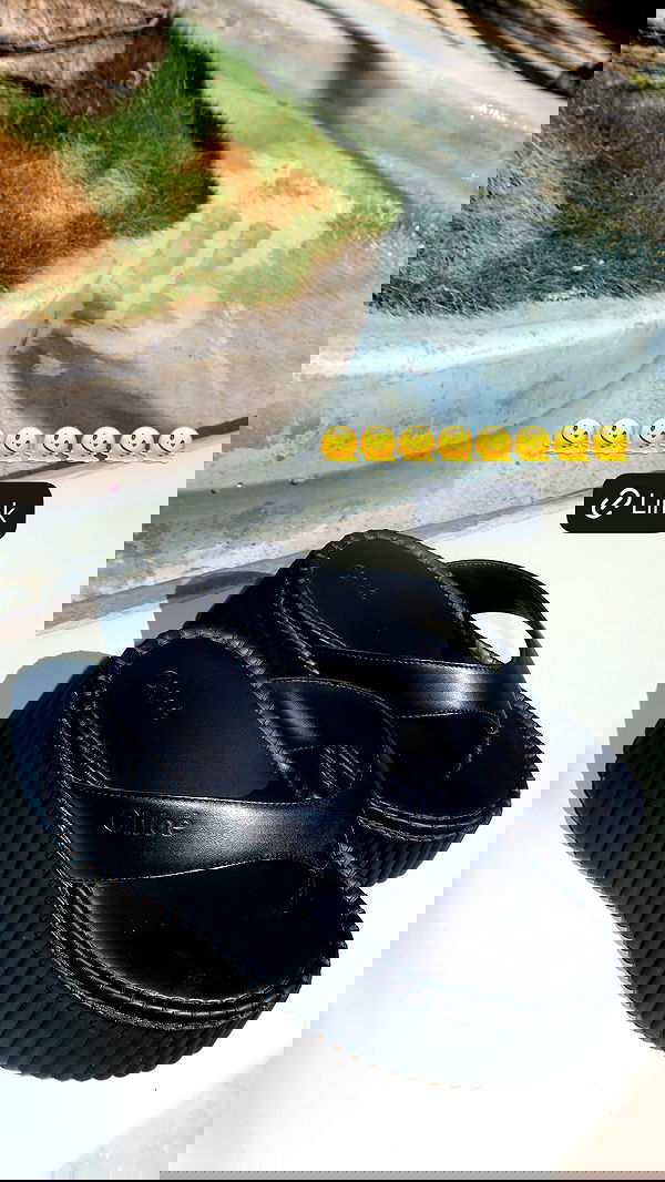 sapir_avisror image ~ Altpins