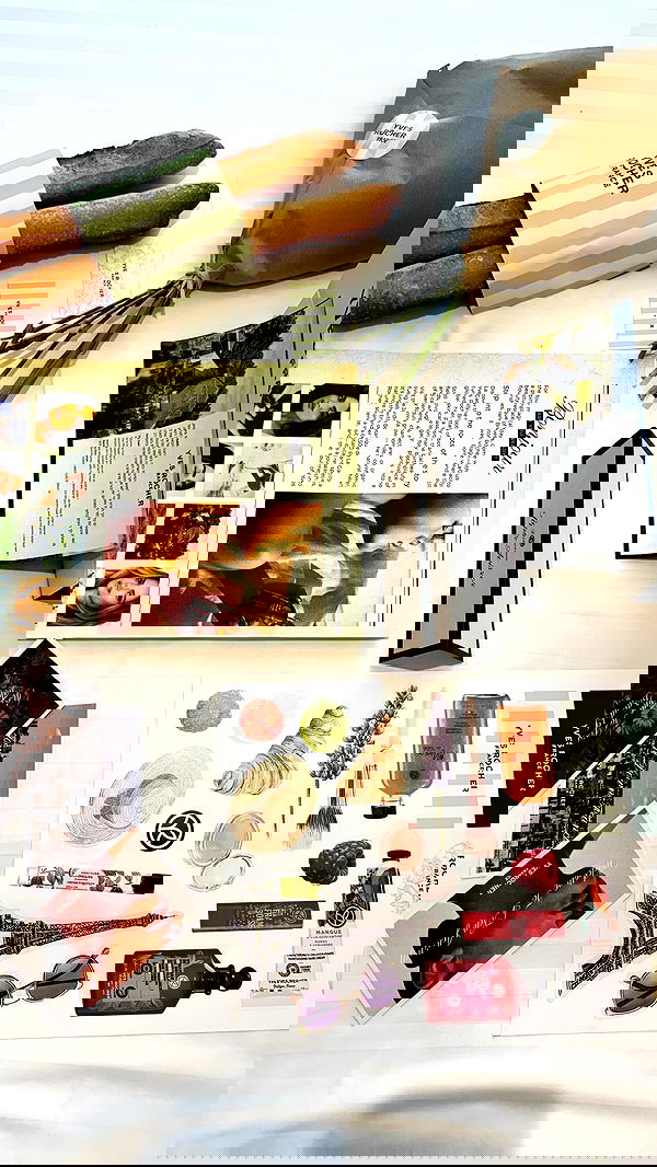 sapir_avisror image ~ Altpins