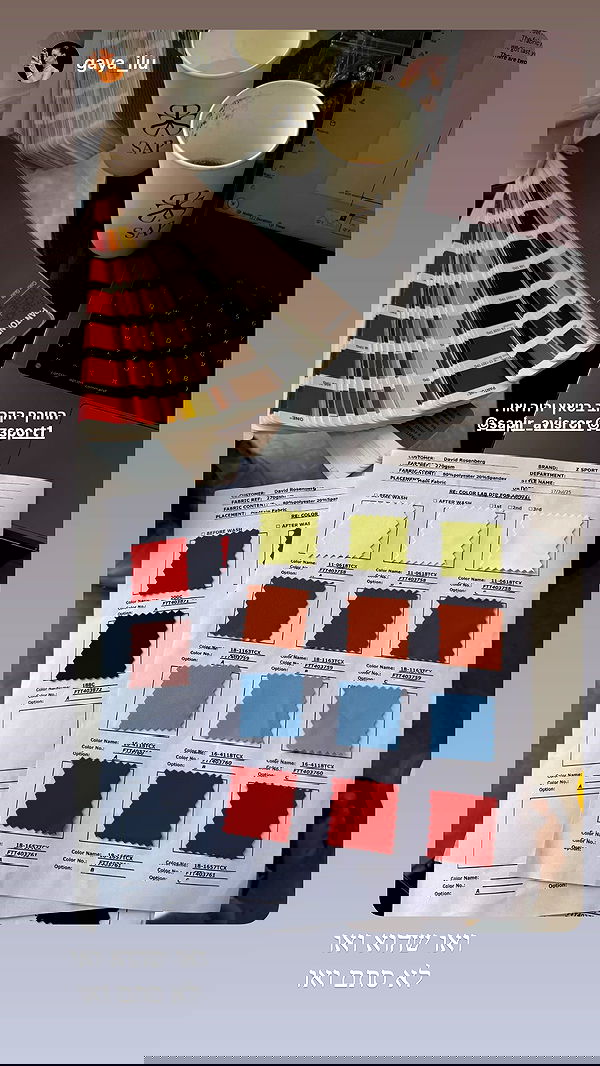 sapir_avisror image ~ Altpins