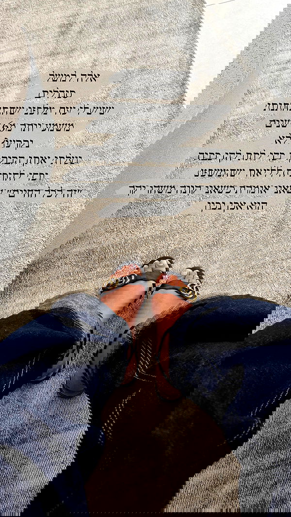 sapir_avisror image ~ Altpins