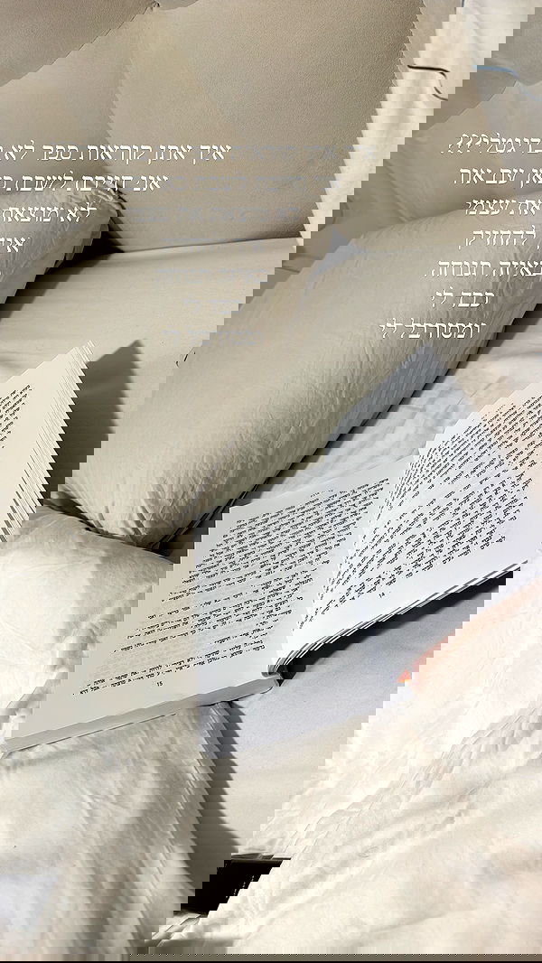 sapir_avisror image ~ Altpins