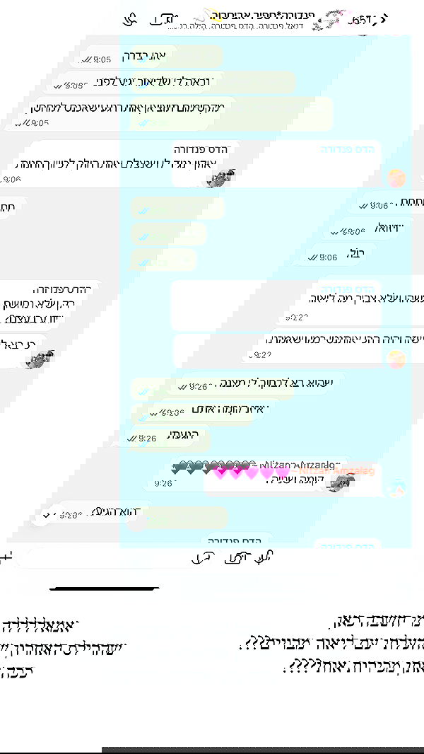 sapir_avisror image ~ Altpins