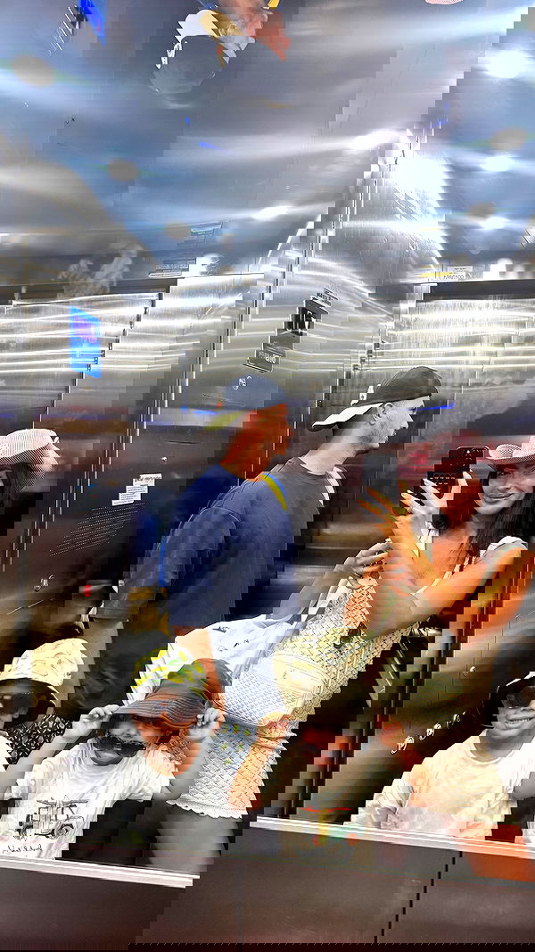 sapir_avisror image ~ Altpins