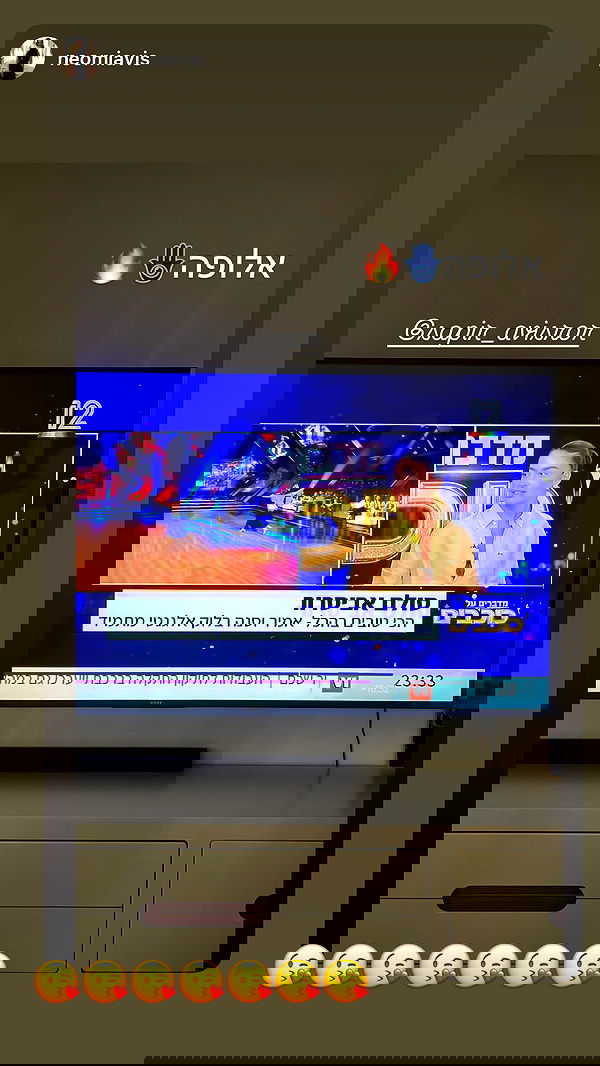 sapir_avisror image ~ Altpins