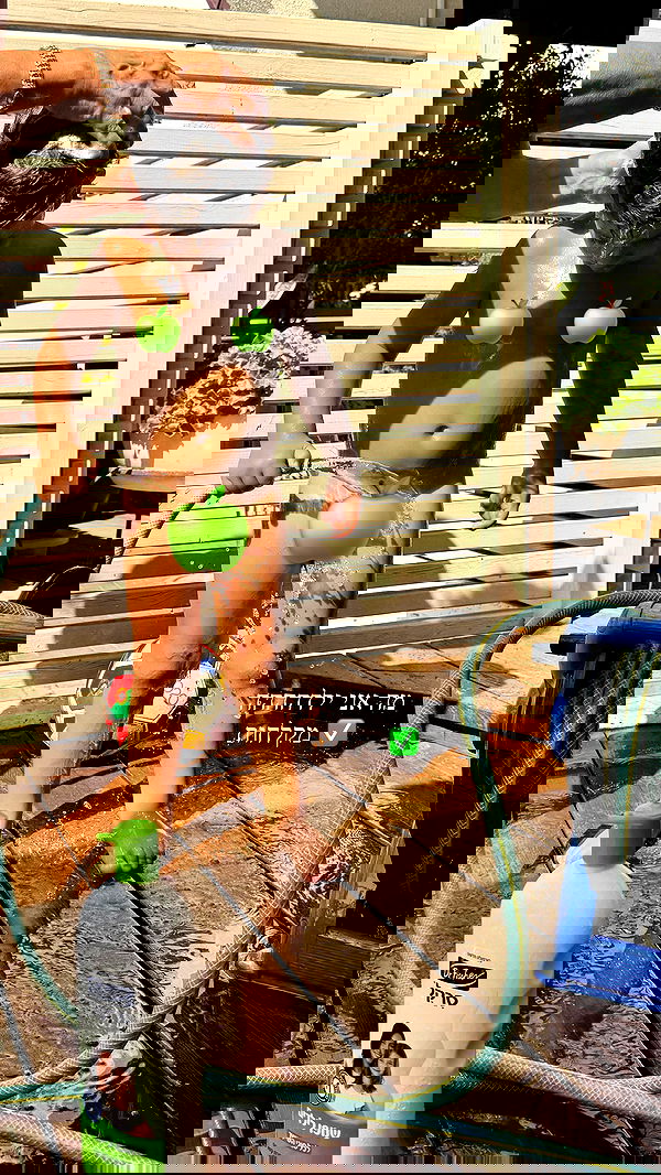 sapir_avisror image ~ Altpins