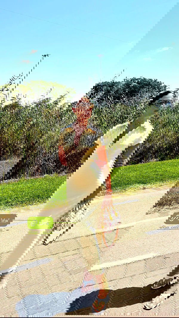 sapir_avisror image ~ Altpins