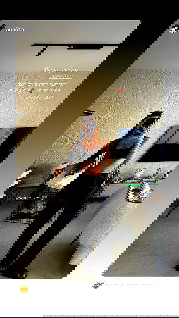 sapir_avisror image ~ Altpins