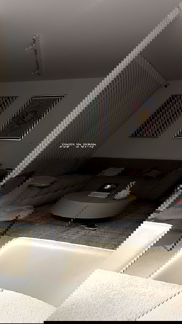 sapir_avisror image ~ Altpins