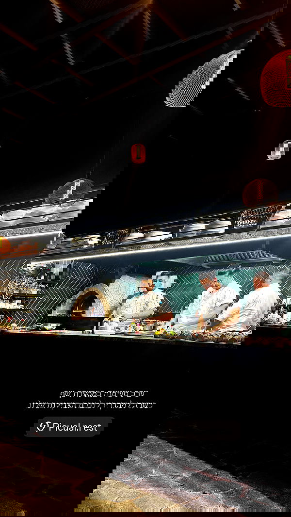 sapir_avisror image ~ Altpins