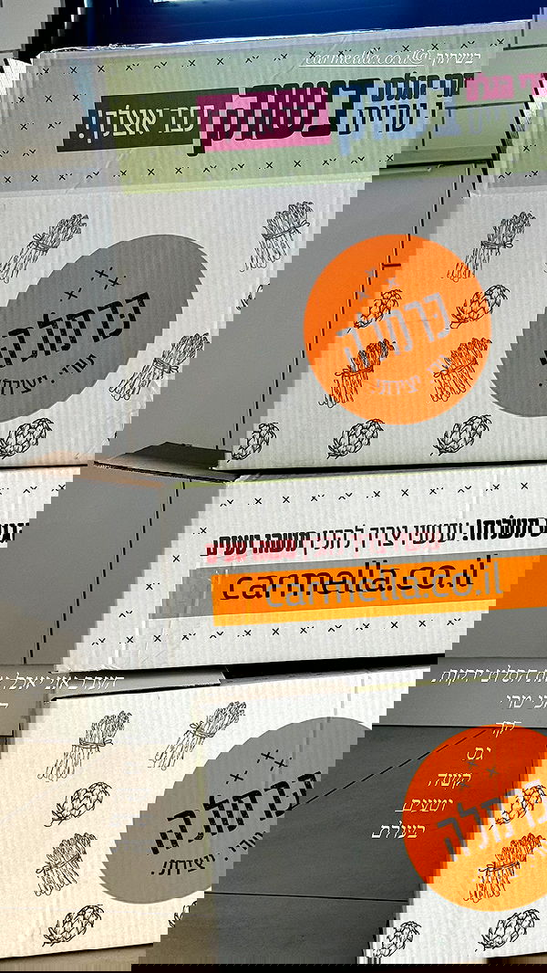 sapir_avisror image ~ Altpins