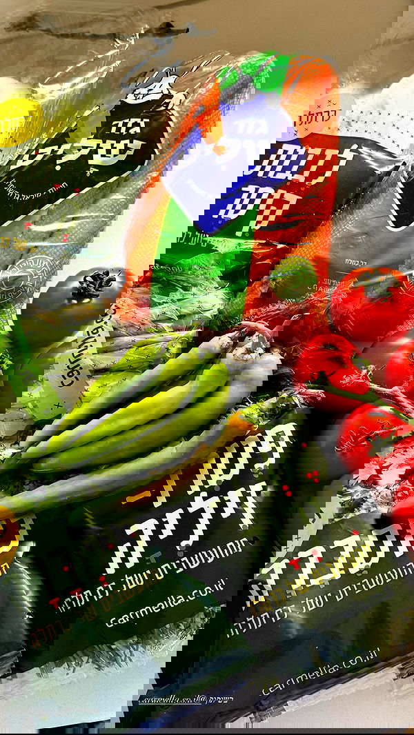 sapir_avisror image ~ Altpins