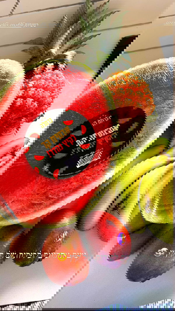 sapir_avisror image ~ Altpins