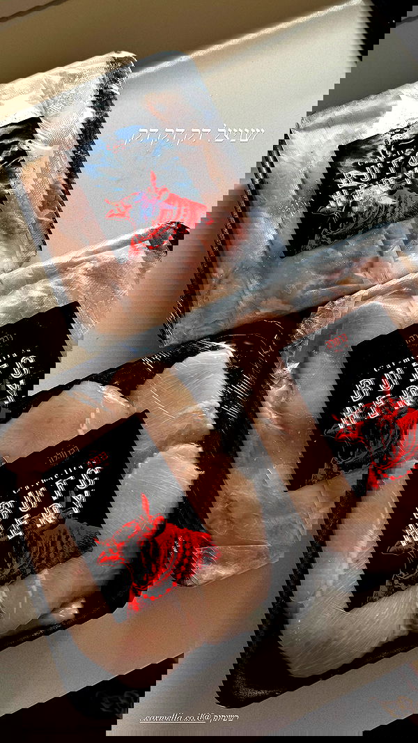 sapir_avisror image ~ Altpins