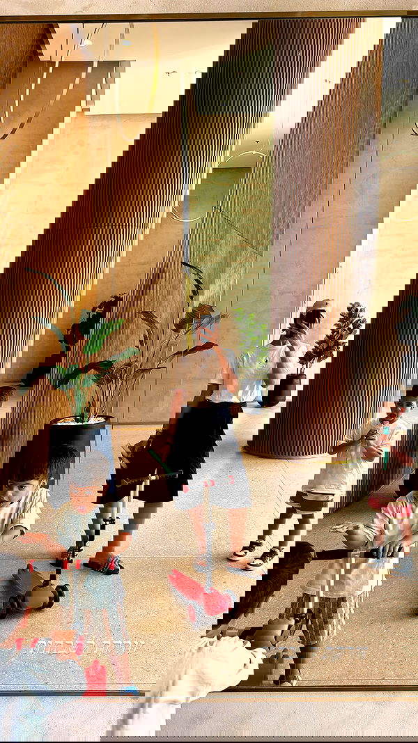 sapir_avisror image ~ Altpins