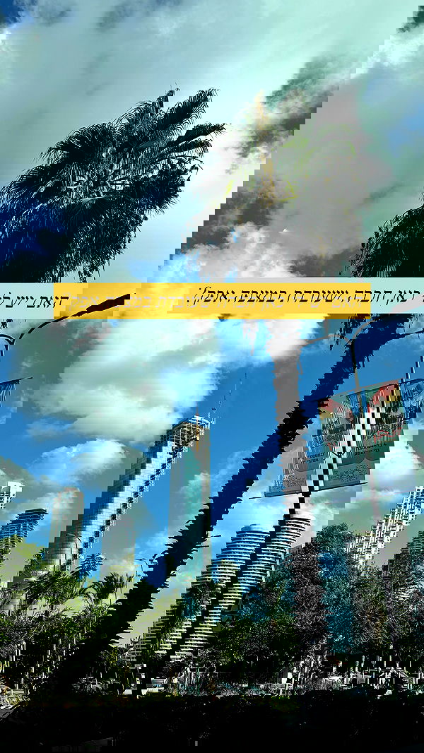 sapir_avisror image ~ Altpins