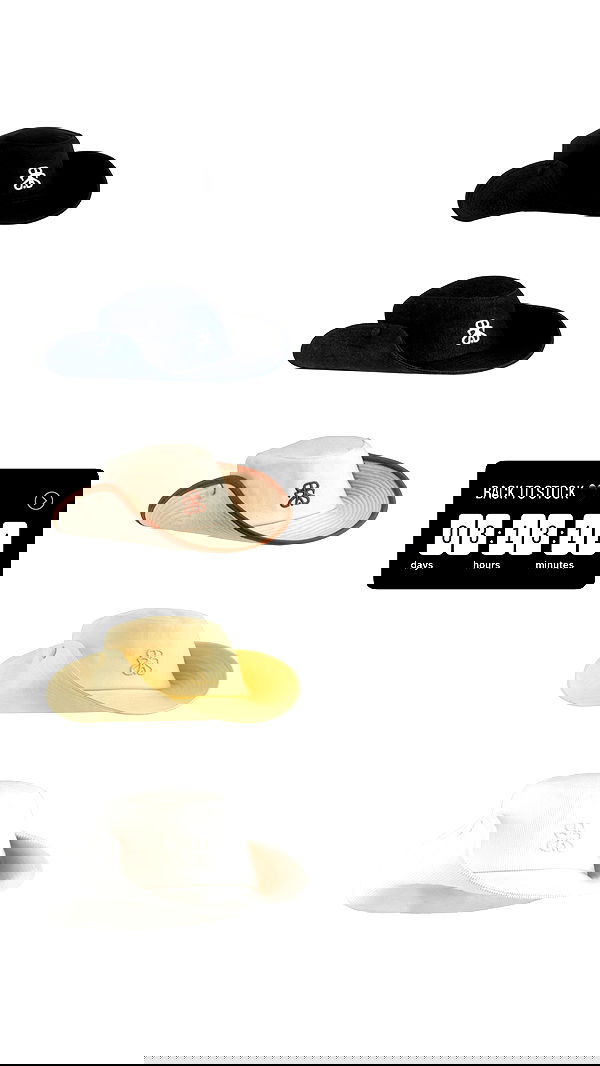 sapir_avisror image ~ Altpins