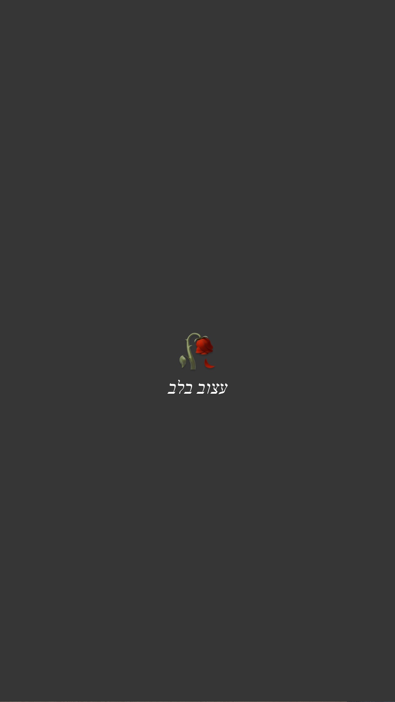 sapir_avisror instagram image archive image