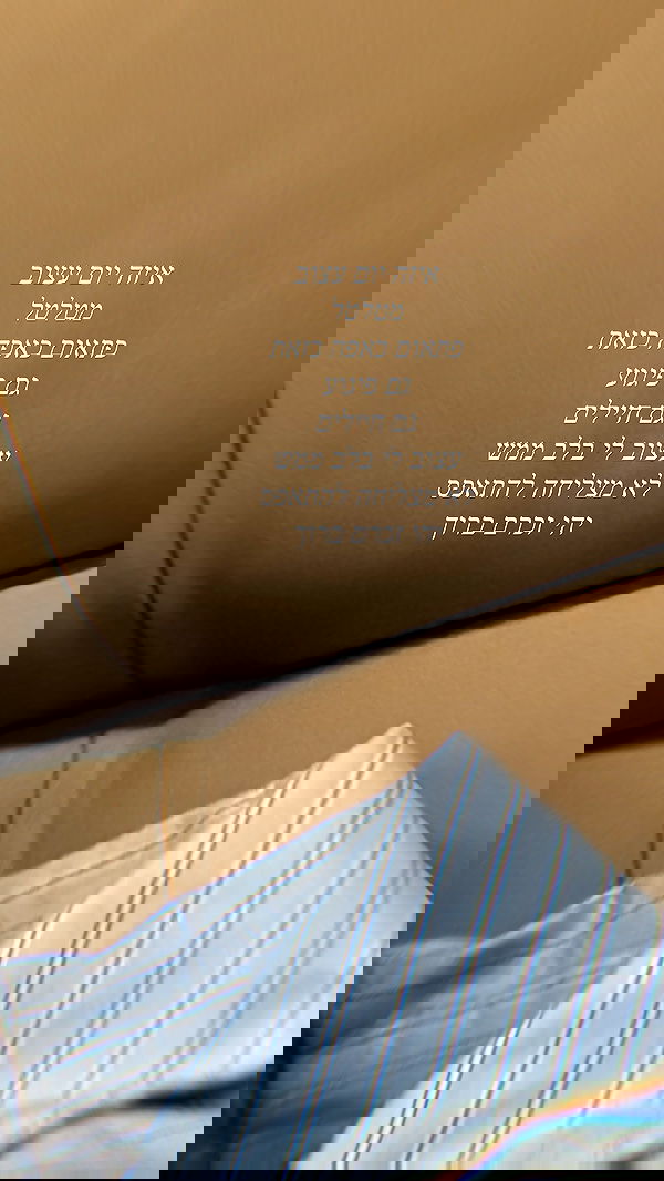 sapir_avisror image ~ Altpins