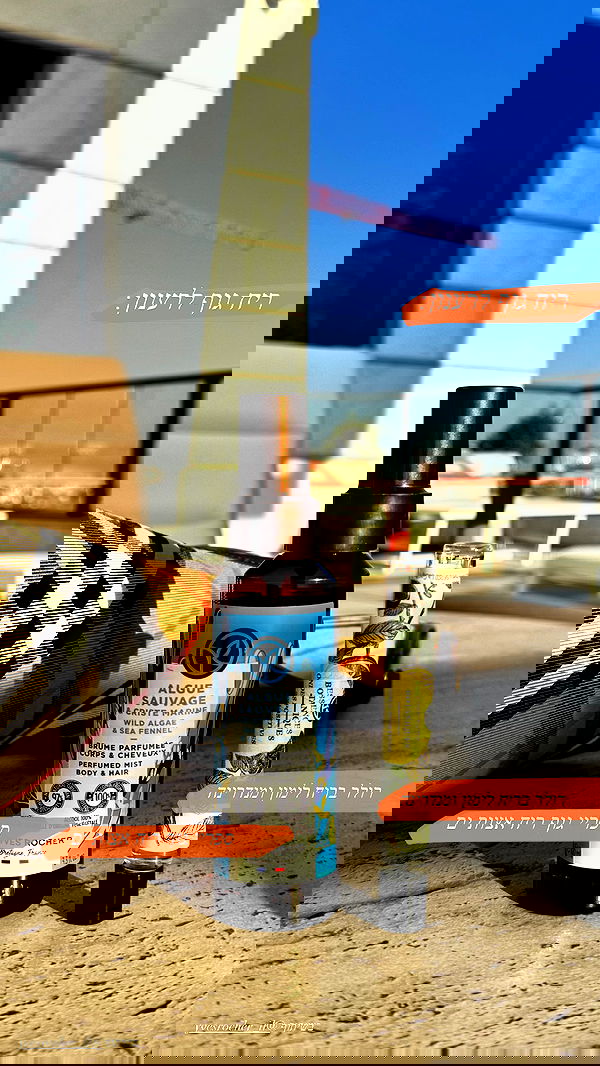 sapir_avisror image ~ Altpins