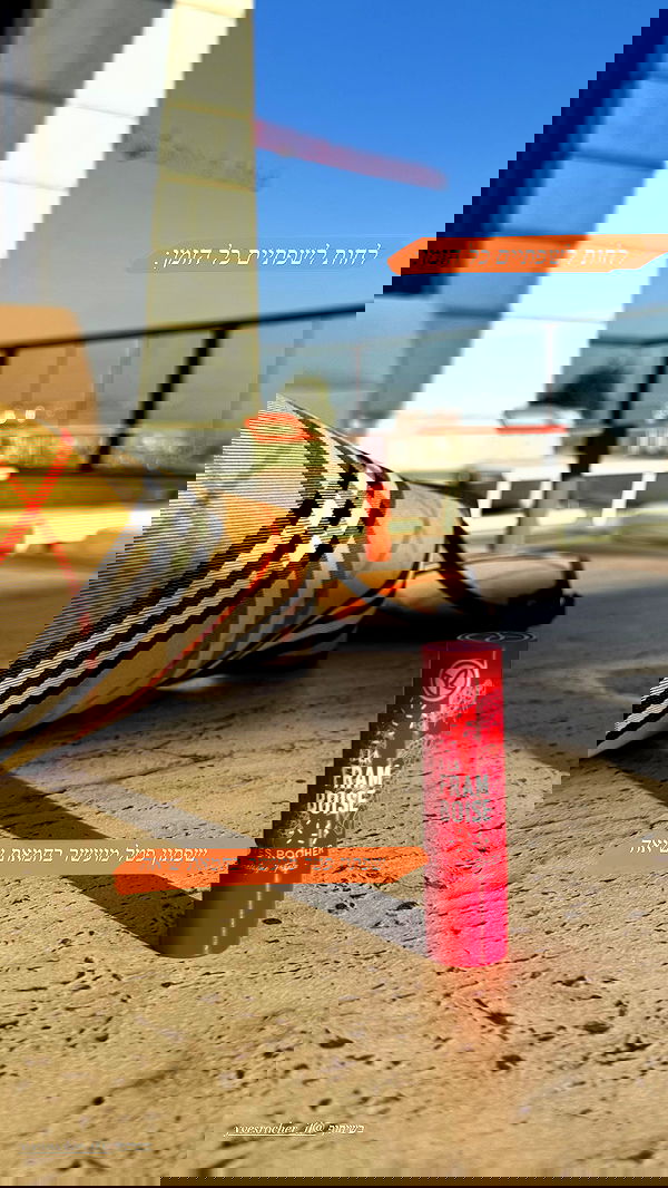 sapir_avisror image ~ Altpins