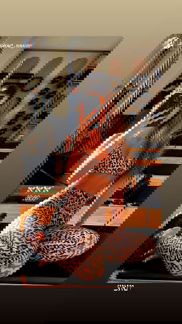 sapir_avisror image ~ Altpins