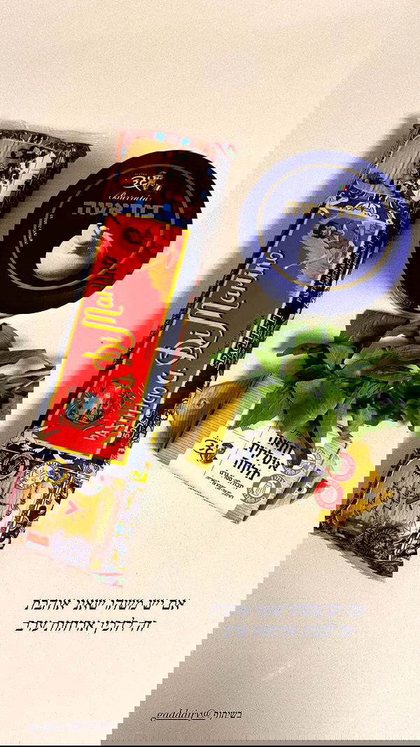 sapir_avisror image ~ Altpins