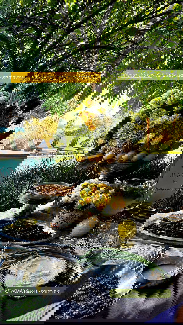 sapir_avisror image ~ Altpins