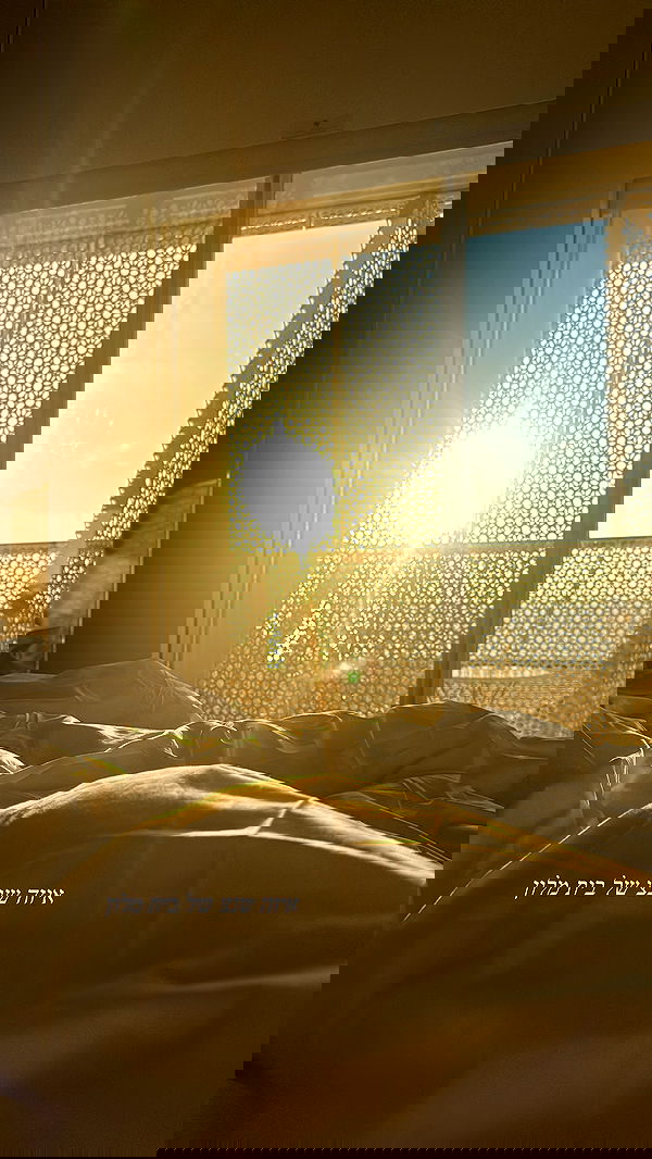 sapir_avisror image ~ Altpins