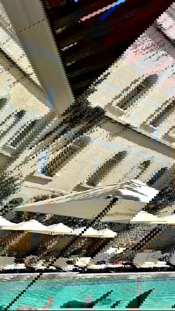 sapir_avisror image ~ Altpins