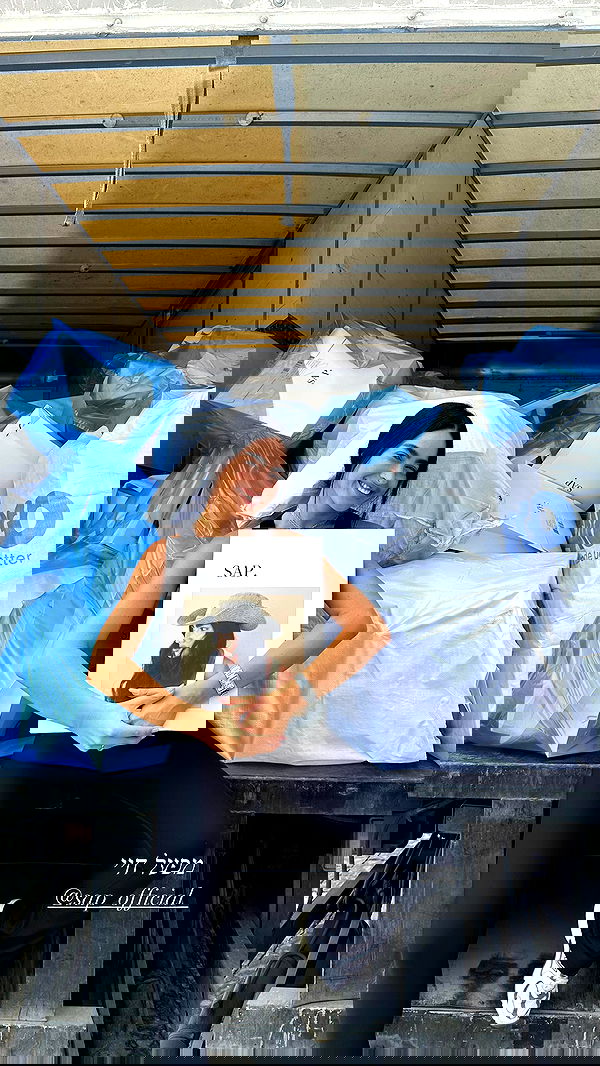 sapir_avisror image ~ Altpins