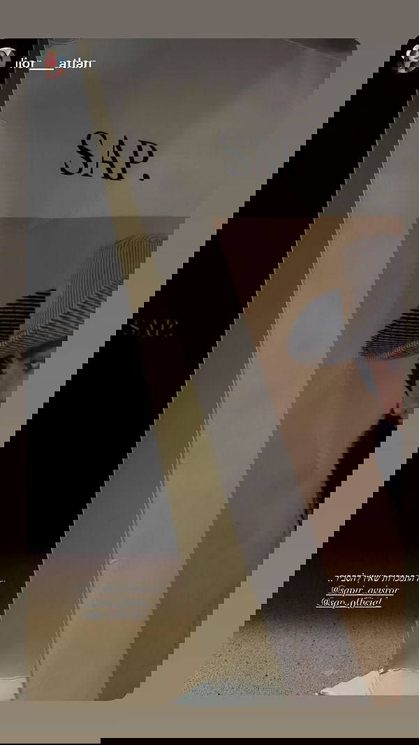 sapir_avisror image ~ Altpins