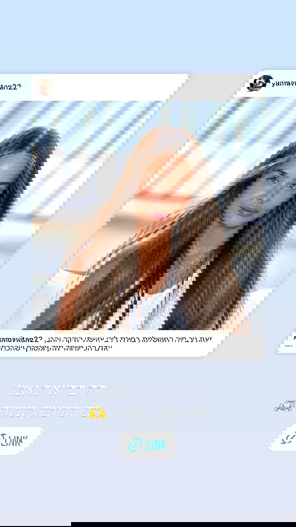 sapir_avisror image ~ Altpins