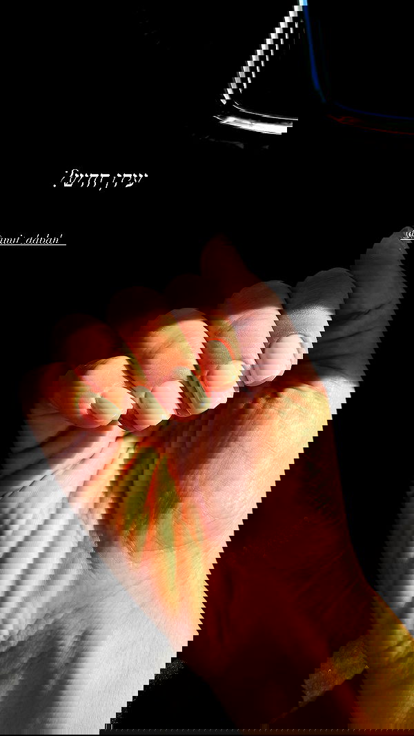 sapir_avisror image ~ Altpins