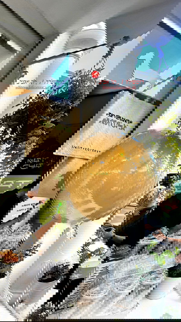 sapir_avisror image ~ Altpins